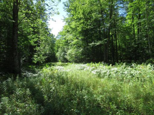 000000000 County Road E, Mason, WI 54856