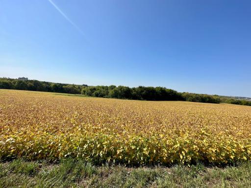 xxxx US HWY 52, Preston, MN 55965