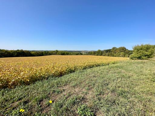 xxxx US HWY 52, Preston, MN 55965