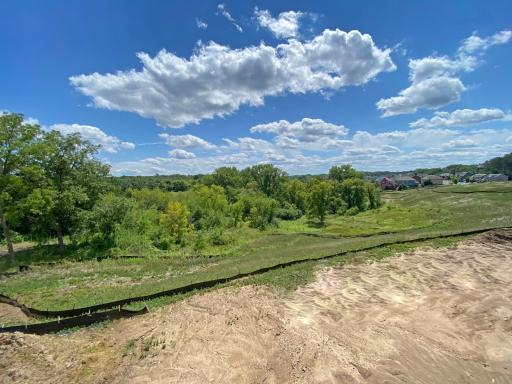 Scenic, private, everyday natural views.