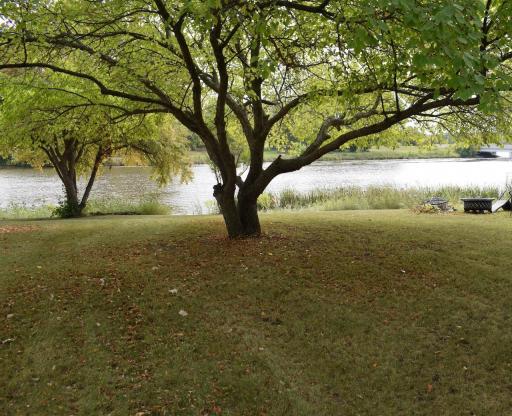916 Reserve Avenue N, Thief River Falls, MN 56701