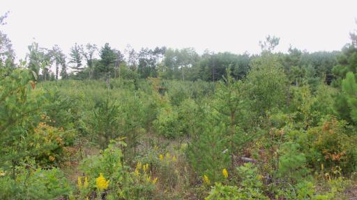 Lot 2 Hgh Ridge Trl, Webster, WI 54893