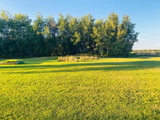5054 County Road 8 NW, Williams, MN 56686