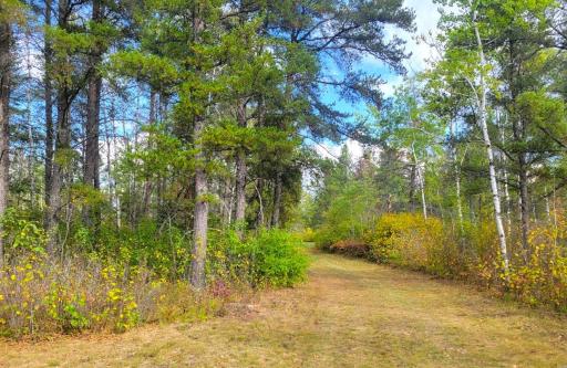 Photo for 4192 Santa Ana Road SW, Williams, MN 56686 - Listing #6435693 4192 Santa Ana Road SW, Williams, MN 56686