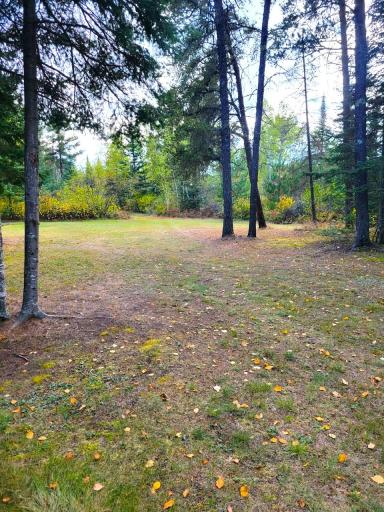 Photo for 4192 Santa Ana Road SW, Williams, MN 56686 - Listing #6435693 4192 Santa Ana Road SW, Williams, MN 56686