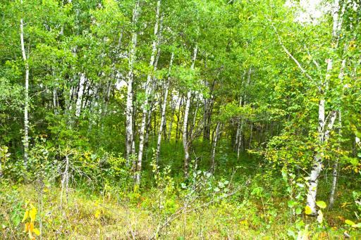 xxx Oriole Court, Browerville, MN 56438
