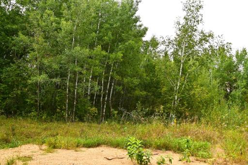 xxx Oriole Court, Browerville, MN 56438