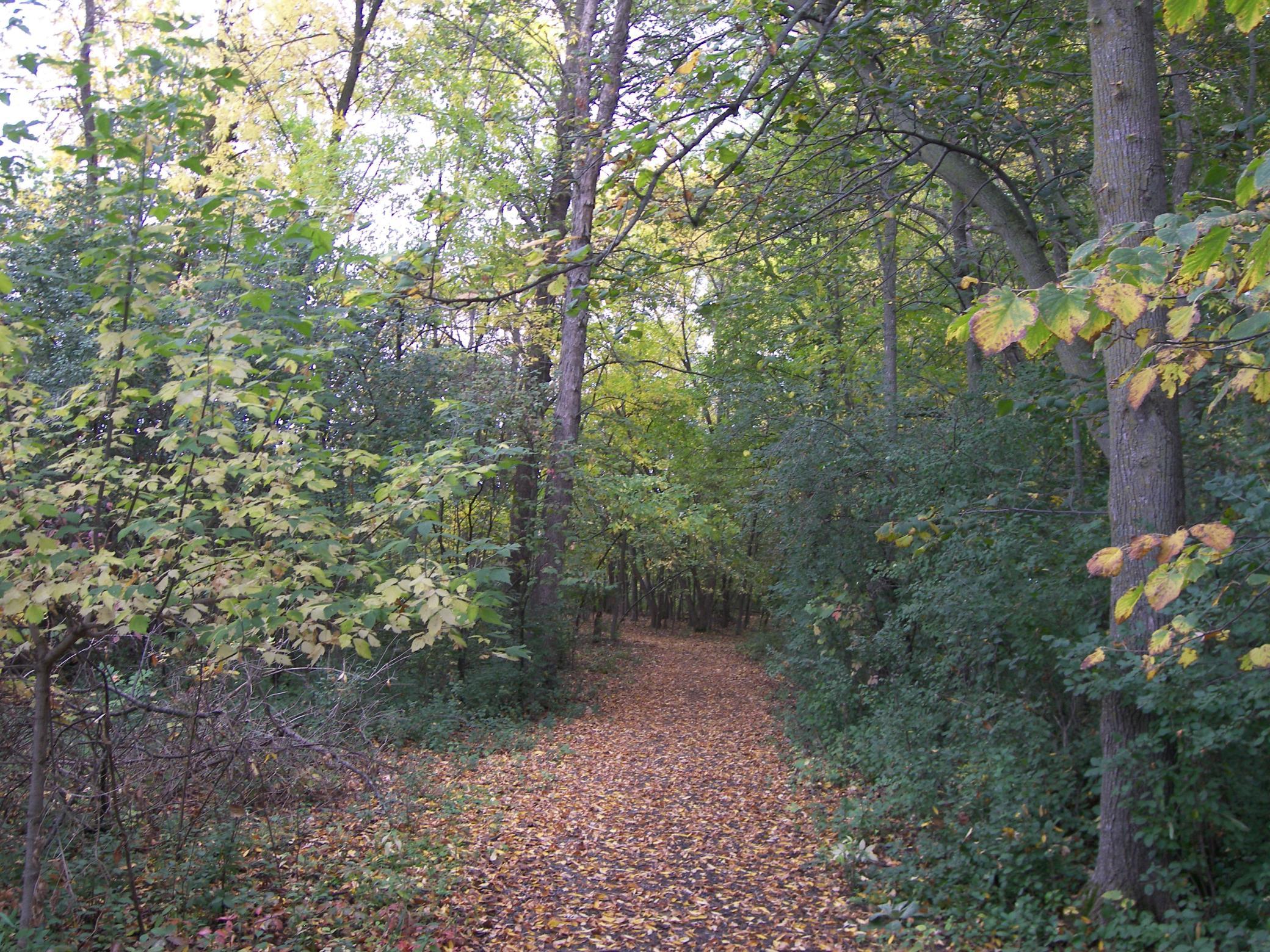 The serenity walk