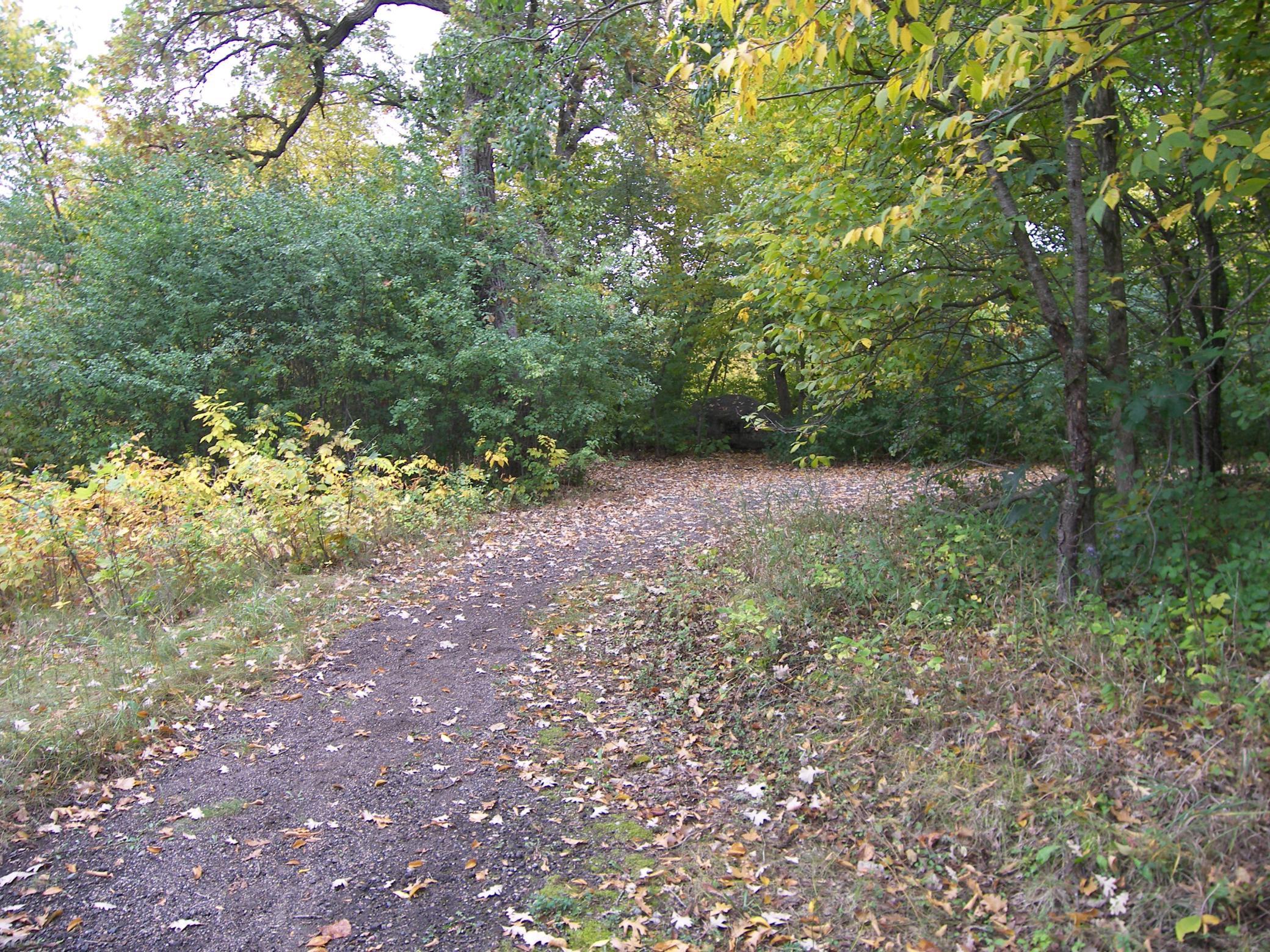 Scenic walkway