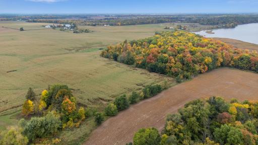 Nearly 42 acres of bliss: lakeshore tranquility, rolling hills to roam, and expansive agricultural and tillable land. Nature enthusiasts, hunters, and dream builders, this one's for you!
