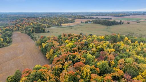 Step into your dreamscape: Almost 42 acres offering a slice of everything—lakeshore allure, rolling hills, fertile tillable land, and hunting opportunities. A canvas to paint your rural dreams!