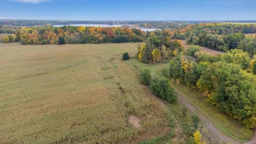 Nature's canvas unfolds on almost 42 acres—woodland whispers, lakeshore secrets, and the promise of fruitful agricultural and tillable land. Hunt, farm, or simply breathe in the scenic beauty.
