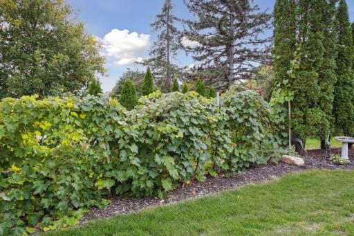 6224 Brockton Lane N, Maple Grove, MN 55311