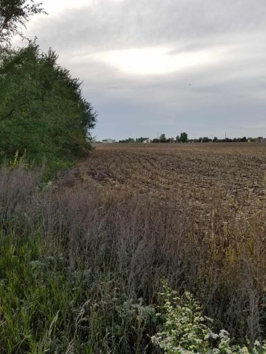 XXX Edmonson Avenue NE, Monticello, MN 55362