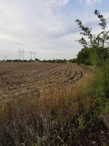 XXX Edmonson Avenue NE, Monticello, MN 55362