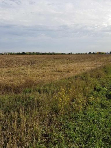 XXX Edmonson Avenue NE, Monticello, MN 55362