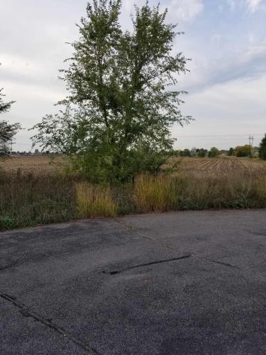 XXX Edmonson Avenue NE, Monticello, MN 55362