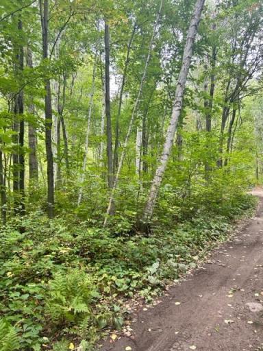 xxx Wolf Trail, Cushing, MN 56443