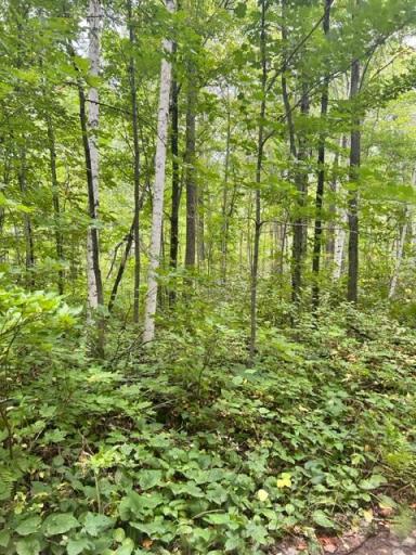 xxx Wolf Trail, Cushing, MN 56443