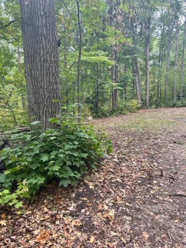 xxx Wolf Trail, Cushing, MN 56443