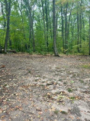 xxx Wolf Trail, Cushing, MN 56443