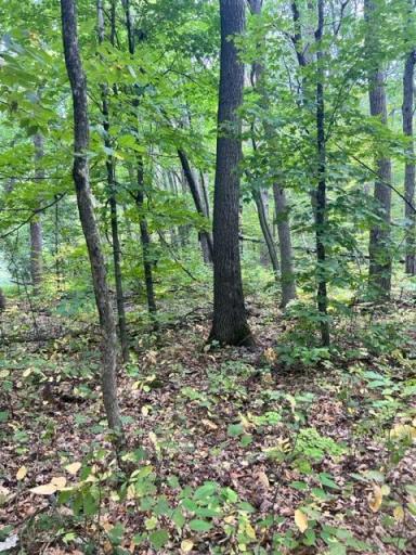 xxx Wolf Trail, Cushing, MN 56443