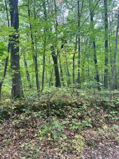 xxx Wolf Trail, Cushing, MN 56443
