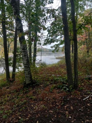 xxx Wolf Trail, Cushing, MN 56443