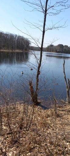 xxx Wolf Trail, Cushing, MN 56443