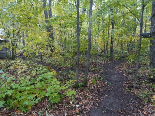 xxx Wolf Trail, Cushing, MN 56443