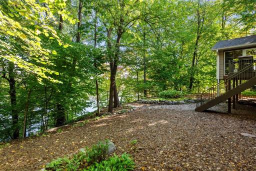 Great space in the back yard to run and play