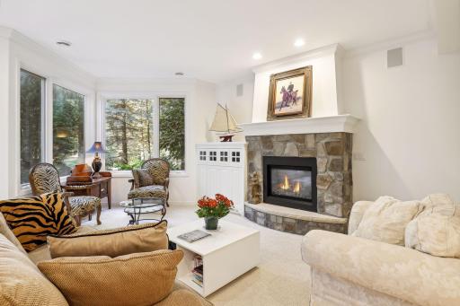 4220 Trillium Lane E, Minnetrista, MN 55364