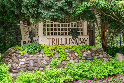 Trillium Bay neighborhood is surrounded by picturesque walking trails
