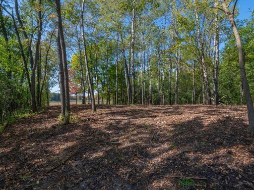 797 Ferndale Road N, Wayzata, MN 55391