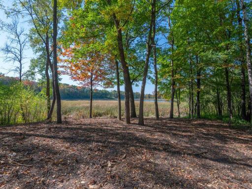 Brush-cleared building area of 2.2 acre lot has view of Lydiard Lake.