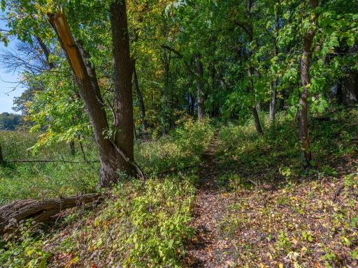 Private walking trail that area residents use to walk along the lake. Trail currently encroaches on neighboring property.