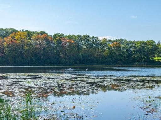 West-facing private wooded lot has wonderful views to pristine Lake Lydiard!