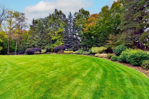 plenty of plush level lawn