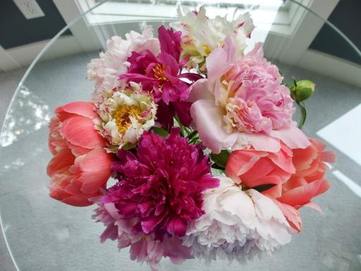 wide variety of perennials/peonies