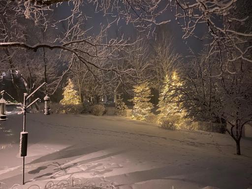 seasonal exterior lighting