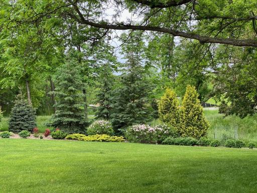 professionally landscaped