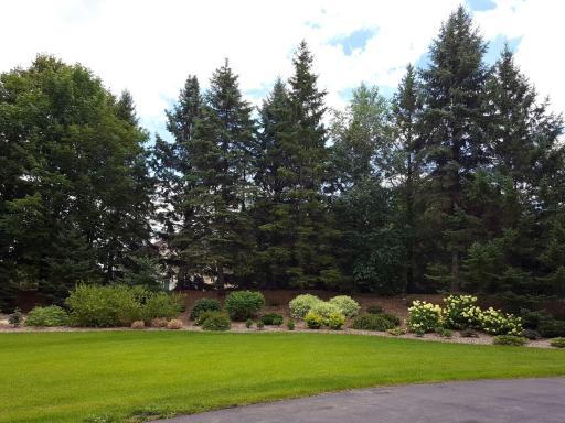 more perennial color in the berm