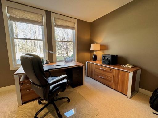 Lower level office/bedroom overlooks pool area