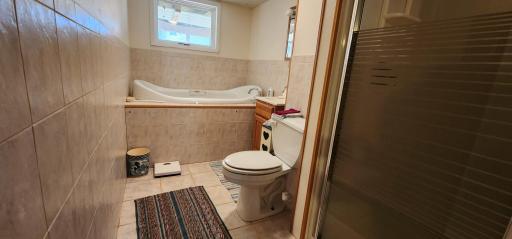 Lower level full bath