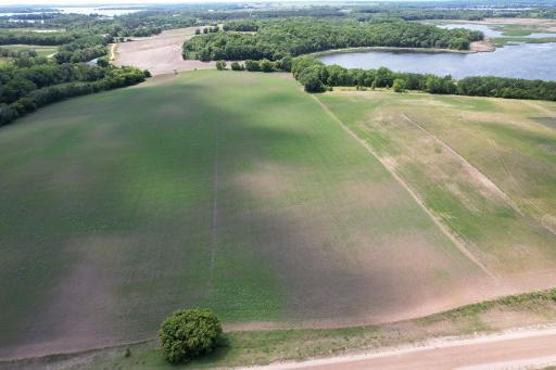 Looking West from Nelson Rd Drone1_2.jpg