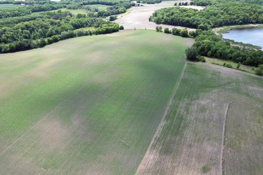 Tillable Drone1_12.jpg