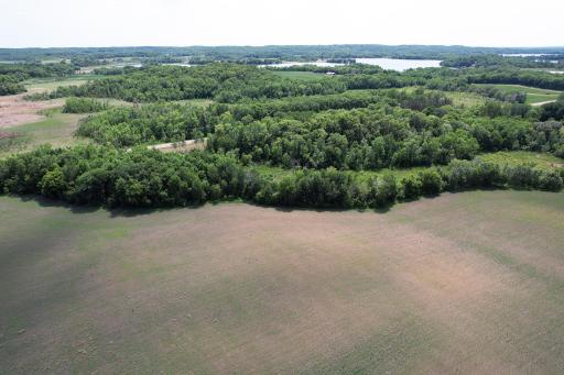 See Cty Rd 20 to South Looking South & SW Towards Little Pelican Lake Drone1_71.jpg