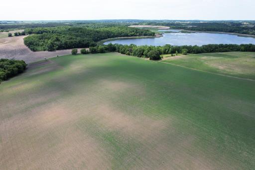 Looking NW from Nelson Rd Drone1_31.jpg