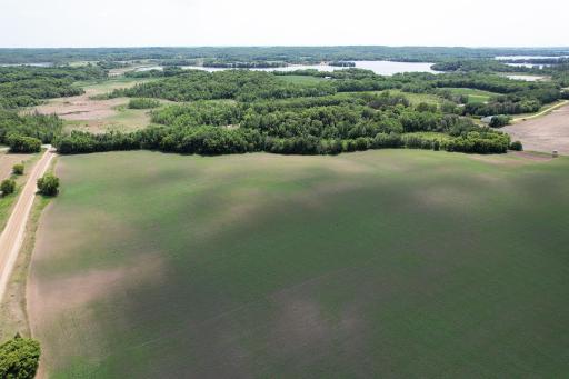 Looking S & SW towards Little Pelican Drone1_91.jpg