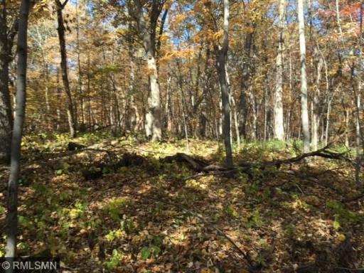 19301 N Manning Trail, Scandia, MN 55073
